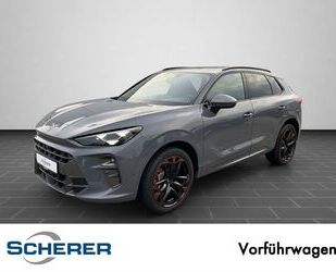 Cupra Terramar Gebrauchtwagen