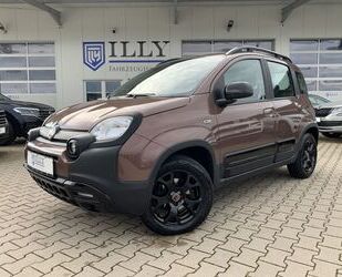 Fiat Panda Gebrauchtwagen