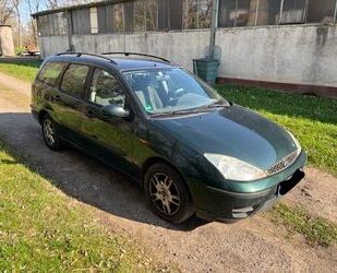 Ford Focus Gebrauchtwagen