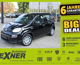 Fiat Panda Gebrauchtwagen