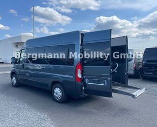 Fiat Ducato Gebrauchtwagen