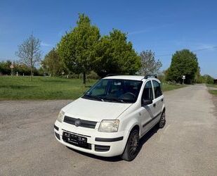 Fiat Panda Gebrauchtwagen