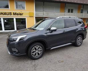 Subaru Forester Gebrauchtwagen