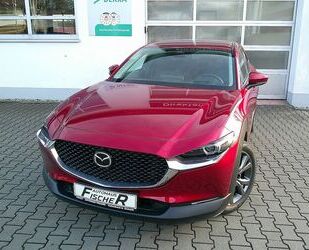 Mazda CX-30 Gebrauchtwagen