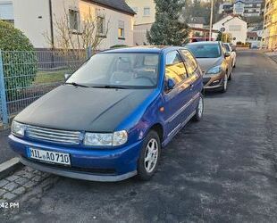 VW Polo Gebrauchtwagen