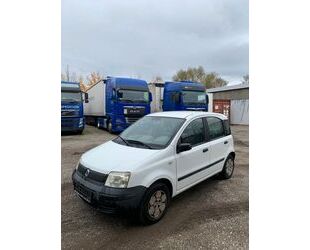 Fiat Panda Gebrauchtwagen