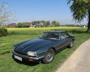 Jaguar XJS Gebrauchtwagen