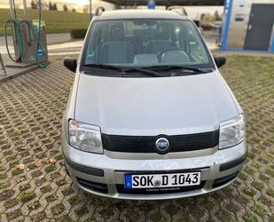 Fiat Panda Gebrauchtwagen