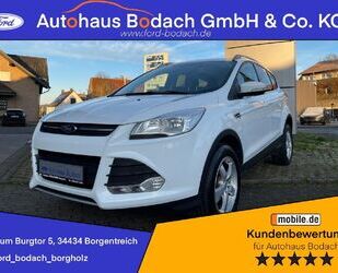 Ford Kuga Gebrauchtwagen