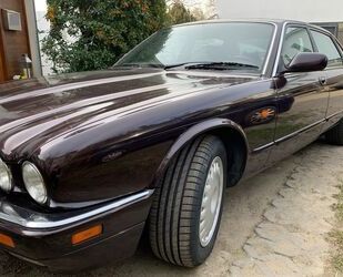 Jaguar XJ6 Gebrauchtwagen