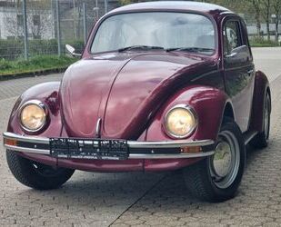 VW Käfer Gebrauchtwagen