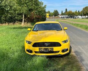 Ford Mustang Gebrauchtwagen