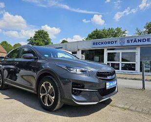 Kia XCeed Gebrauchtwagen