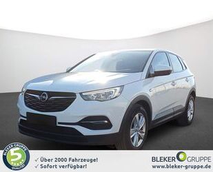 Opel Grandland (X) Gebrauchtwagen