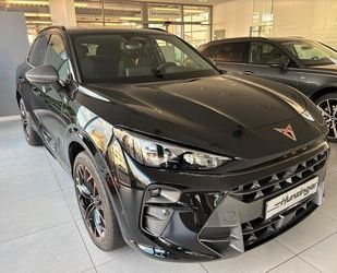 Cupra Terramar Gebrauchtwagen