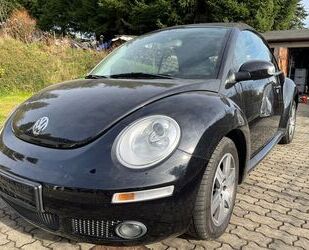 VW Beetle Gebrauchtwagen