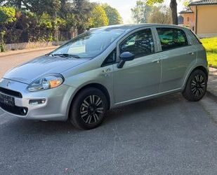 Fiat Punto Gebrauchtwagen