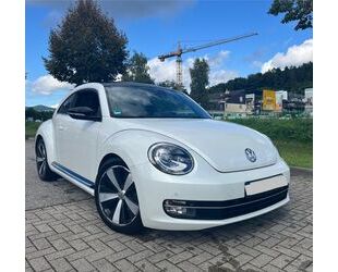 VW Beetle Gebrauchtwagen