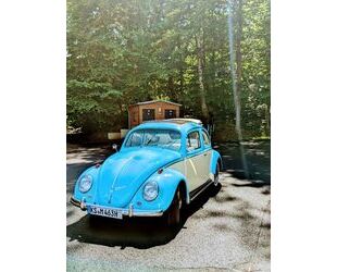 VW Käfer Gebrauchtwagen