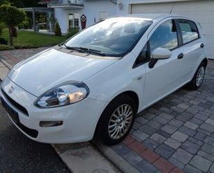 Fiat Punto Gebrauchtwagen