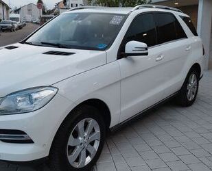 Mercedes-Benz ML 250 Gebrauchtwagen