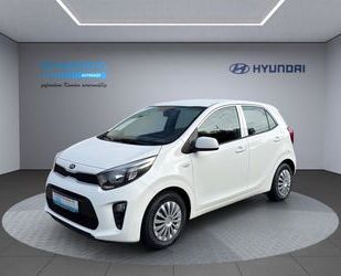 Kia Picanto Gebrauchtwagen