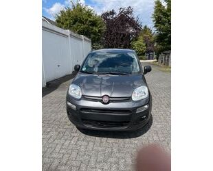 Fiat New Panda Gebrauchtwagen