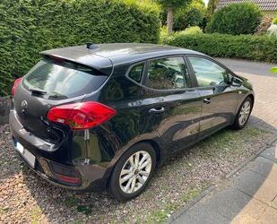 Kia ceed / Ceed Gebrauchtwagen