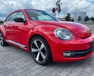 VW Beetle Gebrauchtwagen