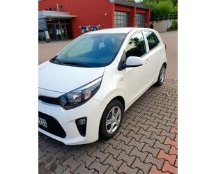 Kia Picanto Gebrauchtwagen