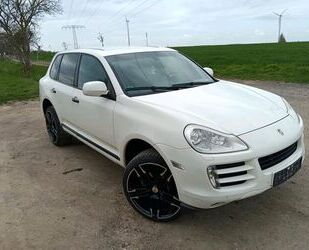 Porsche Cayenne Gebrauchtwagen
