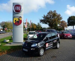 Fiat Panda Gebrauchtwagen