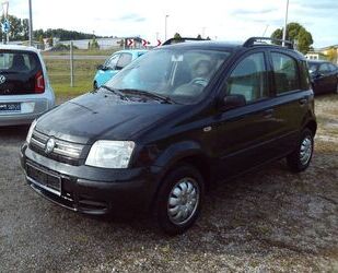 Fiat Panda Gebrauchtwagen