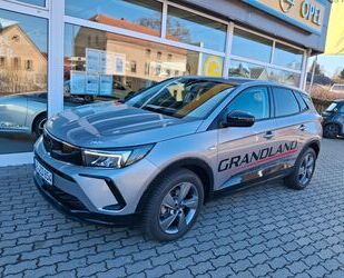 Opel Grandland (X) Gebrauchtwagen