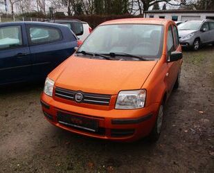 Fiat New Panda Gebrauchtwagen