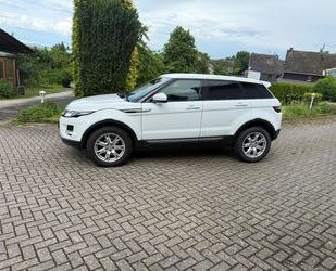 Land Rover Range Rover Evoque Gebrauchtwagen