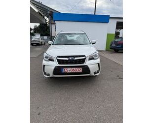 Subaru Forester Gebrauchtwagen