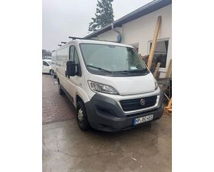 Fiat Ducato Gebrauchtwagen