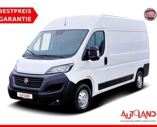 Fiat Ducato Gebrauchtwagen