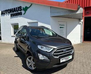Ford EcoSport Gebrauchtwagen