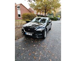 Jaguar F-Pace Gebrauchtwagen