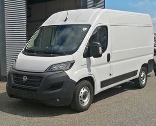 Fiat Ducato Gebrauchtwagen