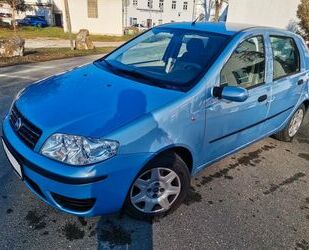 Fiat Punto Gebrauchtwagen