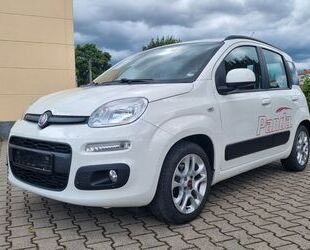 Fiat Panda Gebrauchtwagen