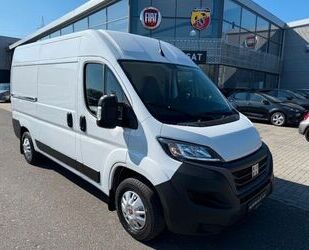 Fiat Ducato Gebrauchtwagen