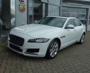 Jaguar XF Gebrauchtwagen
