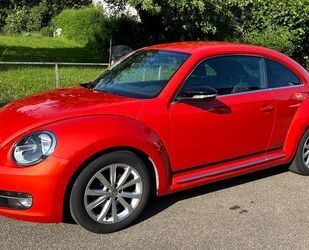 VW New Beetle Gebrauchtwagen