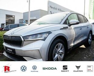 Skoda Enyaq Gebrauchtwagen