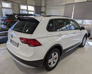 VW Tiguan Gebrauchtwagen