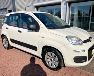 Fiat Panda Gebrauchtwagen